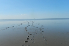 Wattenmeer-SB