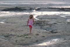 wattwandern-strandlaufen-bremerhaven-cuxhaven-kueste-kinder