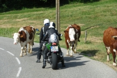 seealpen_2012_006