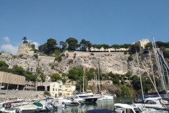 Monaco Ansicht auf den Hafen und das Palais