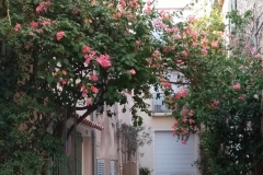 Saint-Tropez-816