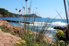 Strand-Frejus