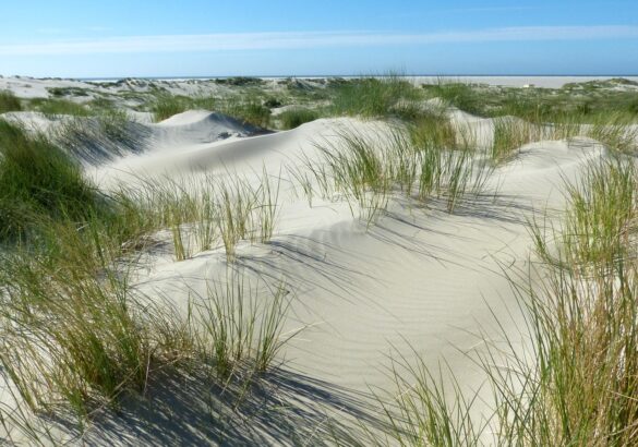 Meer-Kueste-Sand-Strand