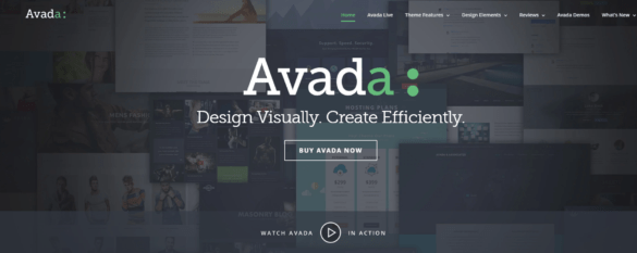 Avada Theme