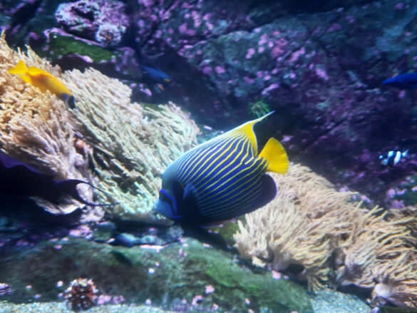Aquarium-Zoo-Leipzig Aquarium-Zoo-Leipzig